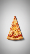 Classic Cheese Slice with Tangy Sauce